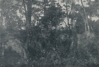कबाना डी इंडिओस, 1895 द्वारा फ्रांसिस्को हेंसलर