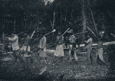 1895 में एक शिकार से लौट रहे गुआरानी भारतीय द्वारा फ्रांसिस्को हेंसलर