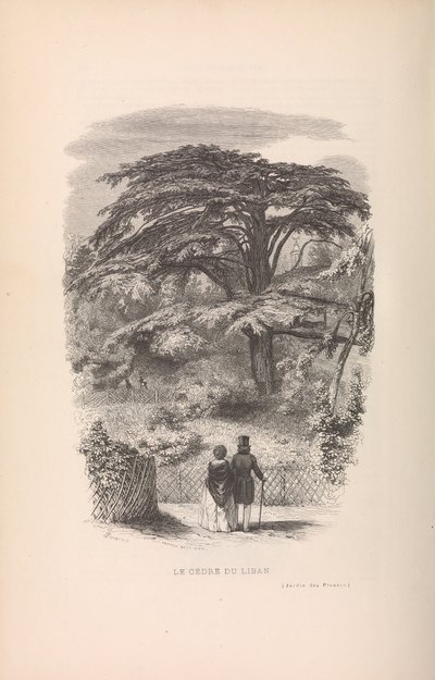 बॉटनिकल गार्डन, डिस्क्रिप्शन एंड मैनर्स ऑफ़ मैमल्स, 1842। द्वारा फ्रेंकोइस बोइटार्ड