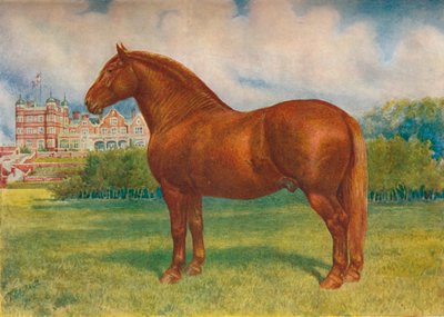 सफ़ोक साहब प्रिंस वेगवुड, c1902 c1910 द्वारा फ्रैंक बैबेज