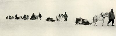 मार्च, 1911, 1913 को पोंजी द्वारा फ्रैंक देबनेहम