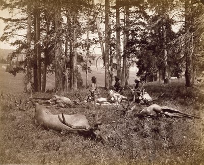एल्क हंटर्स, येलोस्टोन, c.1880 (एल्बम सिल्वर प्रिंट) द्वारा फ्रैंक जय हेन्स
