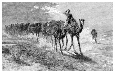 ऊँट ले जाने वाले ऊँट, 1886। द्वारा फ्रैंक पी। महोनी