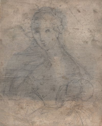 मैरी लुईस टेटू का स्केच, मैडम फ्रांस्वा फ्लीसबेबिन, इससे पहले c.1833 (मिश्रित मीडिया (कलम, स्याही और चाक)) द्वारा फ़्राँस्वा फ़्लीशबीन