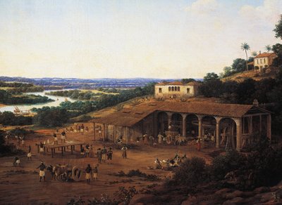ब्राजील में गन्ना मिलें, फ्रैंस पोस्ट (1612-1680) द्वारा, कैनवास पर तेल द्वारा फ़्रैन की पोस्ट