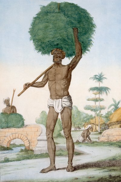 हिंदू नौकर घास काटना, &39;द हिंदू, या उनके मैनर्स, वेशभूषा और समारोह&39; का विवरण द्वारा फ्रांज बल्थजार सोल्विनस