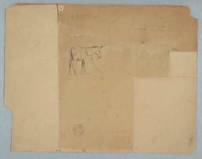  द्वारा फ्रेडरिक एडविन चर्च