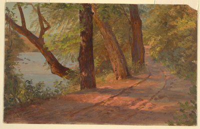 उत्तरी अमेरिकी से परिदृश्य (एक झील के किनारे सड़क) द्वारा फ्रेडरिक एडविन चर्च