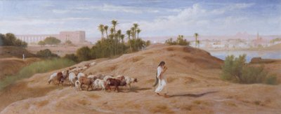 काहिरा के पास एक बकरी का झुंड द्वारा Frederick Goodall