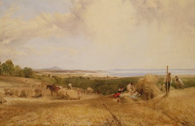 हार्वेस्ट फील्ड, 1846 द्वारा फ्रेडरिक रिचर्ड ली