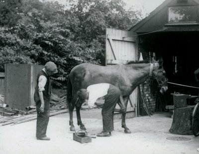 1924 में लंदन चिड़ियाघर में एक खच्चर का निर्माण किया गया द्वारा फ्रेडरिक विलियम बॉन्ड