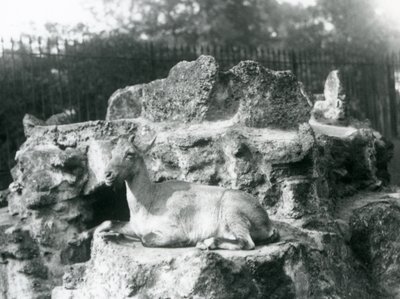 अगस्त 1927 को लंदन चिड़ियाघर में एक चट्टान पर चढ़कर हिमालयन इबेक्स आराम कर रहा था द्वारा फ्रेडरिक विलियम बॉन्ड
