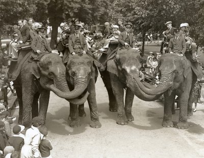 हाथी जुलाई 1936 को लंदन चिड़ियाघर में सवारी करता है द्वारा फ्रेडरिक विलियम बॉन्ड