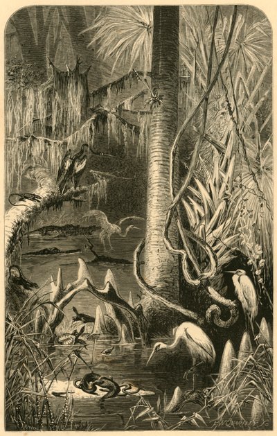 एक फ्लोरिडा दलदल, 1872। द्वारा फ्रेडरिक विलियम क्वार्टली