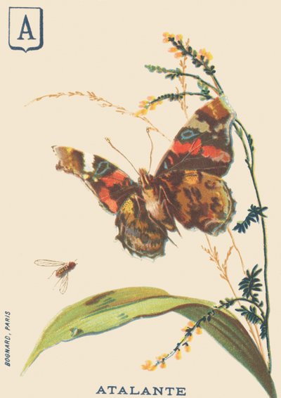 ए: अटलांटे (वैनेसा अटलंता या वालकैन) द्वारा फ्रेंच स्कूल