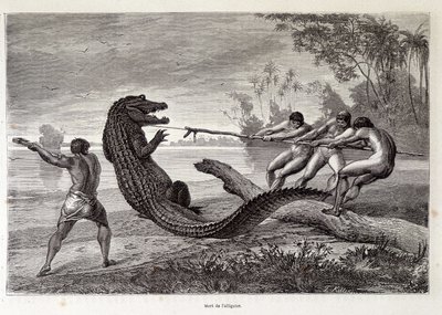 एलीगेटर हंट, ब्राज़ील, "" राउंड द वर्ल्ड"" दूसरा सप्ताह 1874। द्वारा फ्रेंच स्कूल
