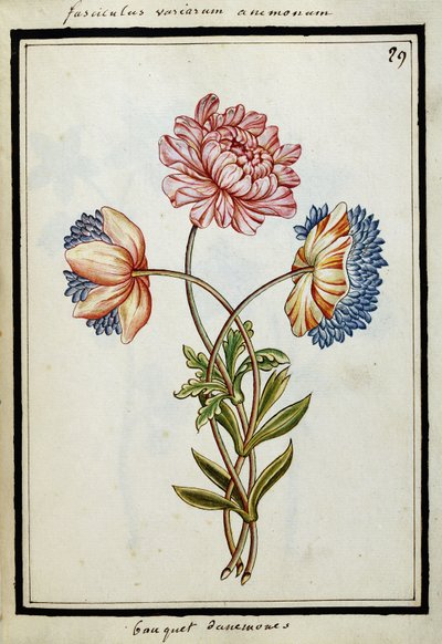 एनीमोन का गुलदस्ता, c.1700 द्वारा फ्रेंच स्कूल