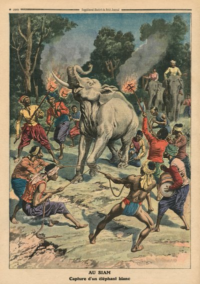 स्याम में एक सफेद हाथी को पकड़ने, &39;ले पेटिट जर्नल&39; से चित्रण, पूरक चित्र, 10 सितंबर 1911 (रंग लिथो) द्वारा फ्रेंच स्कूल