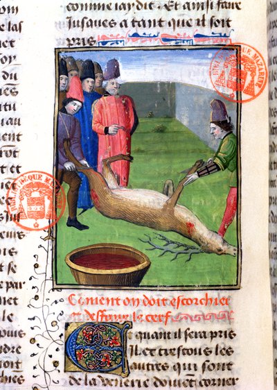 एक मृत हरिण के पैर काटना, गैस्ट्रॉन फेबस डी फिक्स (1300-91) द्वारा Livre de la Chasse से द्वारा फ्रेंच स्कूल