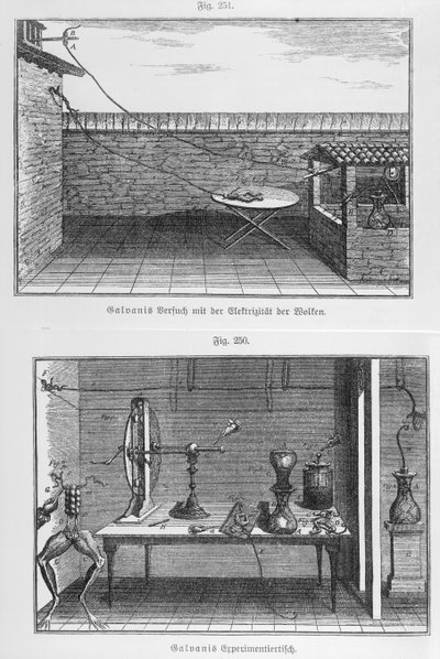 18 वीं शताब्दी के अंत में लुइस गैलवानी (1737-98) मेंढकों पर प्रयोग द्वारा फ्रेंच स्कूल