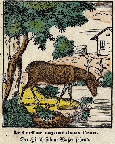 Fables de La Fontaine: हिरण खुद को पानी में देख रहा है। एपिनल की छवि, १९वीं सदी की पहली छमाही द्वारा फ्रेंच स्कूल