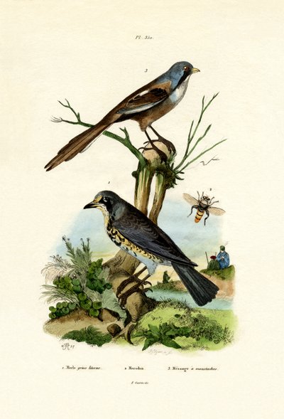 फील्डफेयर, 1833-39 द्वारा फ्रेंच स्कूल