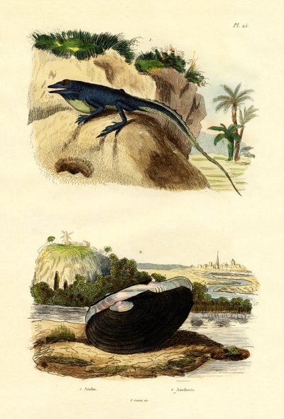 ग्रीन ऐनोले, 1833-39 द्वारा फ्रेंच स्कूल