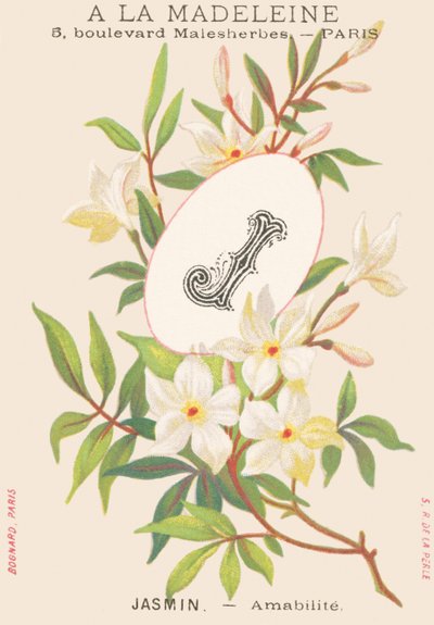 जे: जैस्मीन - एंबाबाइट द्वारा फ्रेंच स्कूल