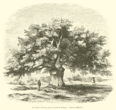 ले चेन डी'एंटिन, सेनार्ट के जंगल में (उत्कीर्णन) द्वारा फ्रेंच स्कूल