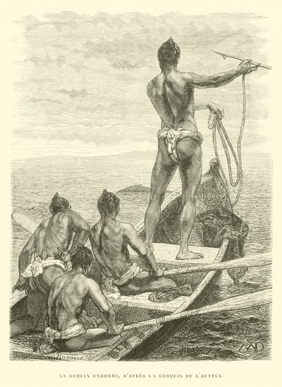  द्वारा फ्रेंच स्कूल