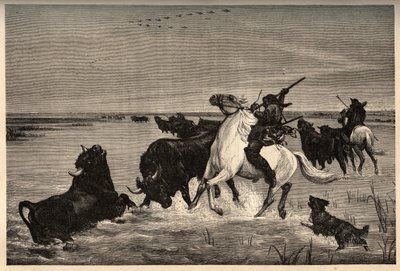 वेसन द्वारा पेंटिंग के बाद केमरग के बैलों (गोजातीय नस्ल)- "पैट्री" में उत्कीर्णन - "पेटीले" में उत्कीर्णन - लुसियन हर्ड द्वारा 6 खंडों में विवरण पिंटुरेक्विरेस डे ला फ्रांस - 19 वीं शताब्दी के अंत में द्वारा फ्रेंच स्कूल