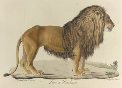  द्वारा फ्रेंच स्कूल