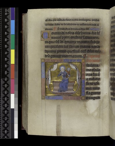 MS 300 f.284v, सोंग्स ऑफ़ सोंग्स, फ्रांस के इसाबेला के स्तोत्र और घंटे से, पेरिस, c.1265-70 (चर्मपत्र पर कलम और स्याही और स्वभाव) द्वारा फ्रेंच स्कूल