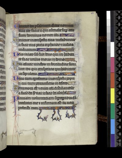 MS 300 f.68r, फ्रांस के पेरिस के इसाबेला के Psalter और घंटे से फोलियो, c.1265-70 द्वारा फ्रेंच स्कूल