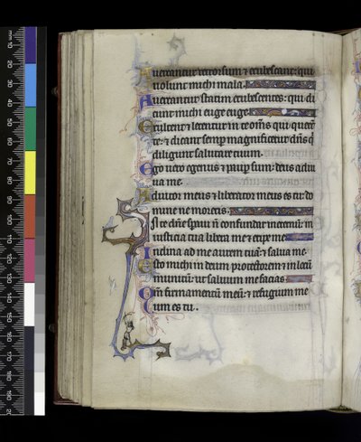 MS 300 f.73v, फ्रांस के पेरिस के इसाबेला के Psalter and Hours से, c.1265-70 द्वारा फ्रेंच स्कूल