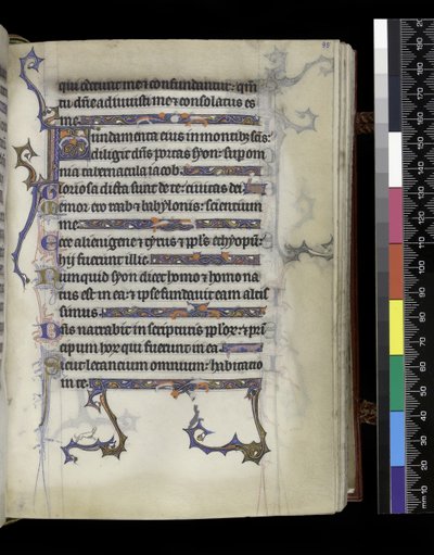 एमएस 300 f.95r, फ्रांस के पेरिस के इसाबेला के Psalter और घंटे से फोलियो, c.1265-70 द्वारा फ्रेंच स्कूल