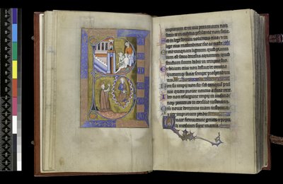 MS 300 f.XIII-1r, फ्रांस, पेरिस के इसाबेला के स्तोत्र और घंटे से, c.1265-70 (चर्मपत्र पर कलम और स्याही और तापमान) द्वारा फ्रेंच स्कूल