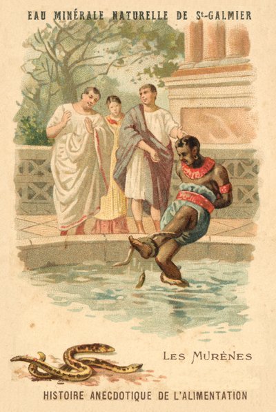 मोरे ईल (क्रोमोलिथो) द्वारा फ्रेंच स्कूल