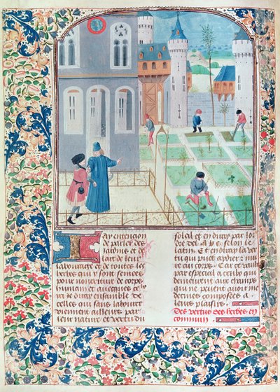 सुश्री 5064 f.151v द गार्डन, ले लिवर डे प्राउफ़िट्ज़ चम्पेस्ट्रेस का चित्र पिएत्रो डी क्रैसेन्ज़ी (1230-132021) द्वारा फ्रेंच स्कूल