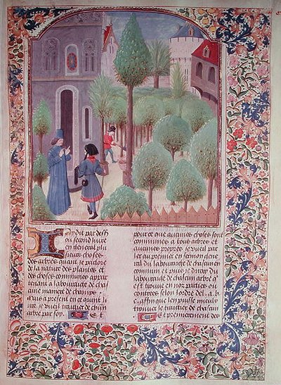 सुश्री 5064 fol.105r पिएत्रो डे क्रेस्केंज़ी (1230-132021) द्वारा Livre des Prouffitz Champestres से वृक्षारोपण द्वारा फ्रेंच स्कूल