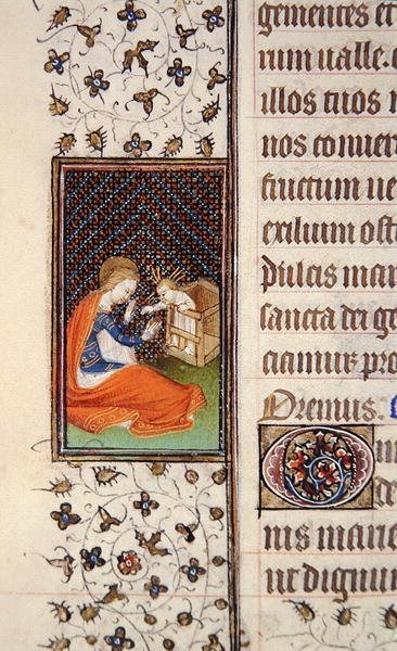 Ms 62, f.205v: वर्जिन एंड चाइल्ड, फ्रेंच बुक ऑफ आवर्स से विवरण, c.1445-50 (वेल्लम) द्वारा फ्रेंच स्कूल
