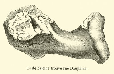 व्हेल की हड्डी rue Dauphine मिली द्वारा फ्रेंच स्कूल