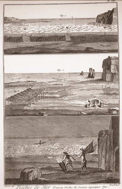 Peche de Mer - Trameau - Waterbird Fishing - "" द ग्रेट इनसाइक्लोपीडिया, या Dictionnaire Raisonne des Sciences, des Arts et des Metiers" (एनसाइक्लोपीडिया या डिक्शनरी ऑफ द साइंसेज, आर्ट्स एंड प्रोफेशन) डेनिस डाइडरोट (1713-1784) और जीन डी द्वा द्वारा फ्रेंच स्कूल