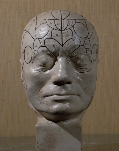 जीन मार्टिन चारकोट (चीनी मिट्टी) द्वारा Phrenological प्रमुख द्वारा फ्रेंच स्कूल