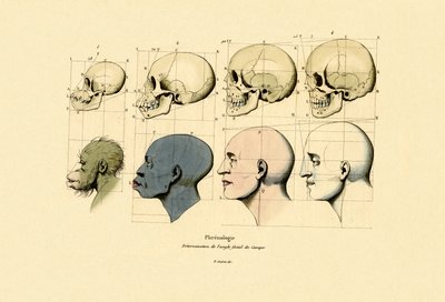 फ्रेनोलॉजी, 1833-39 द्वारा फ्रेंच स्कूल