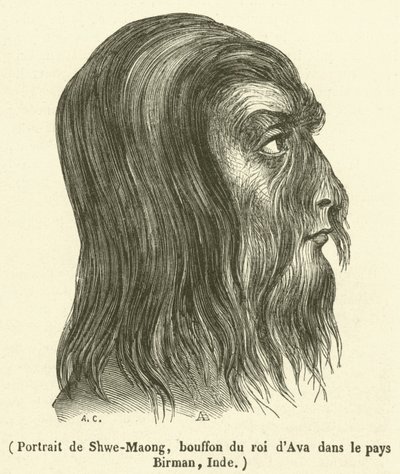 श्वे-माओंग का पोर्ट्रेट, बर्मी देश, भारत में अवा के राजा का विदूषक (उत्कीर्णन) द्वारा फ्रेंच स्कूल