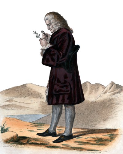 बर्नार्ड डी जूसियू (1699-1777), फ्रांसीसी प्रकृतिवादी का चित्र द्वारा फ्रेंच स्कूल