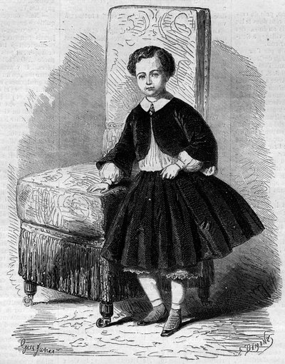 नेपोलियन यूजीन लुई जीन जोसेफ बोनापार्ट (1856-1879) का पोर्ट्रेट, जिसे नेपोलियन III के बेटे प्रिंस इंपीरियल के नाम से जाना जाता है। 26 नवंबर के "" ले मोंडे इलस्ट्र्रे "" एन ° 137 में उत्कीर्णन द्वारा फ्रेंच स्कूल