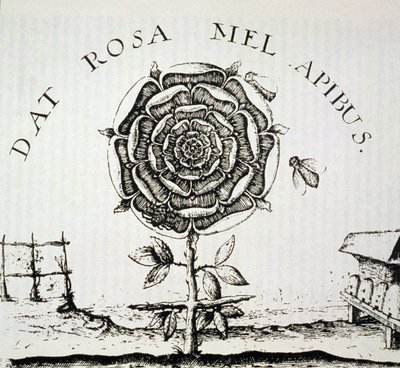 Rosicrucian Allegory, Johann Theodore de Bry (c.1598) द्वारा उत्कीर्णन की प्रतिलिपि, इतिहास के जादू में प्रयुक्त, 19 वीं सदी के अंत में प्रकाशित द्वारा फ्रेंच स्कूल