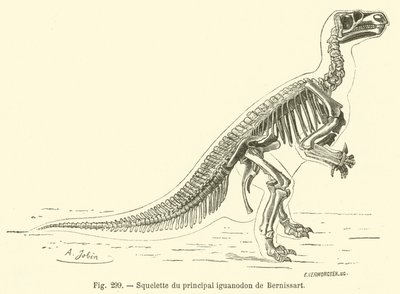 मुख्य Bernissart iguanodon (उत्कीर्णन) का कंकाल द्वारा फ्रेंच स्कूल